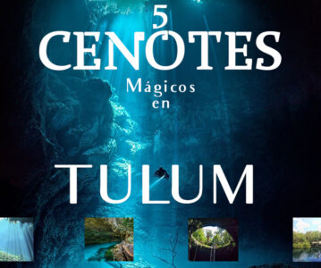 5 Cenotes mágicos en Tulum